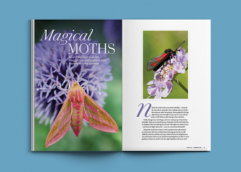 Magazine Design for Dales Life