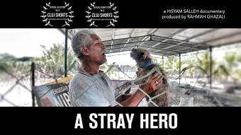 A Stray Hero