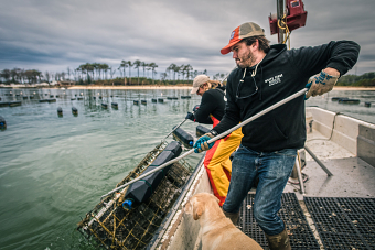 White Stone Oyster Co.