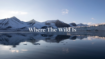 Where The Wild Is