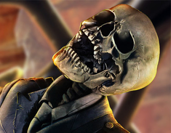 Skeleton pilot