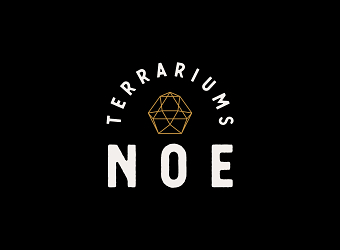 NOE Terrariums