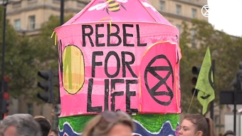 Tree of Life - Extinction Rebellion