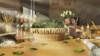 Stevia Sugar