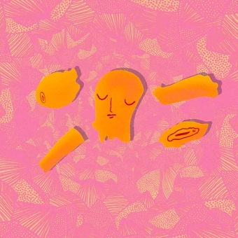 Curated bodies