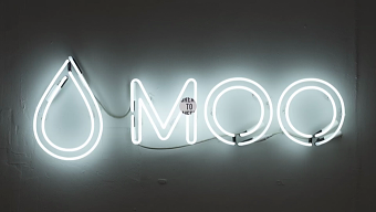 MOO case study