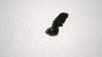 Whitefly Animation Showreel