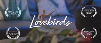 Lovebirds
