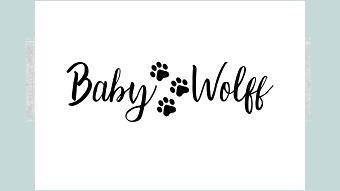 Baby Wolff start