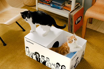 Cat Person Shipper
