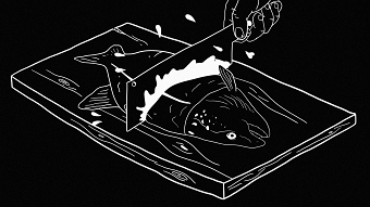 Letter From The Ocean