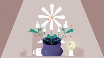 Seed and Stem 'Advanced Motion Methods' Final Project