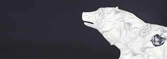 Greenpeace Save The Arctic Campaign