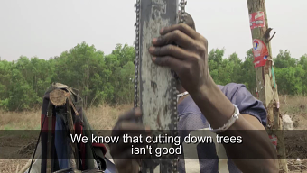 REDD+ and the Future of African Forests