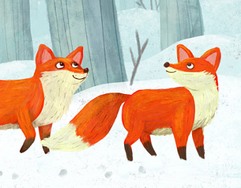 Snowy Foxes