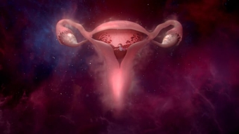 Libresse / #wombstories / AMVBBDO