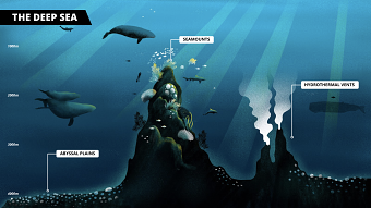 Deep Seabed Mining