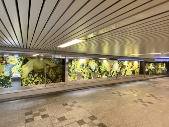 Electrified windows displays