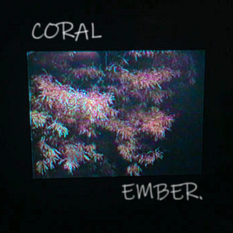 Coral - Instrumental Beat Tape