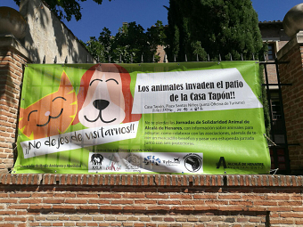 Poster for a charity campaign
