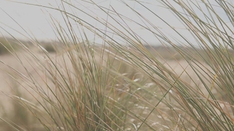 WHISTLES FASHION FILM