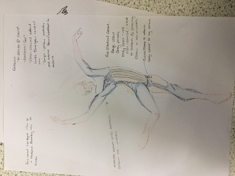 Sketches and Drawings