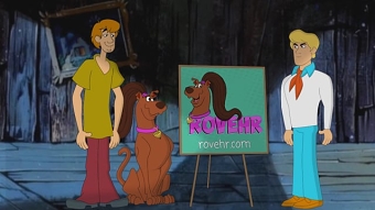 Rovehr Animated Ad