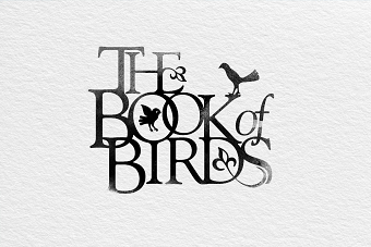 LogoFolio