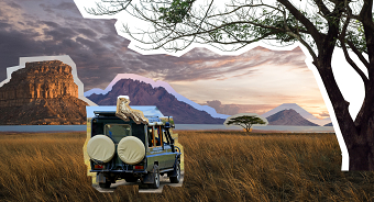 Sunrise in the Savannah