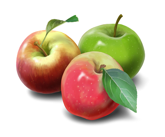 illustration for Ceres Organics