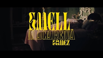 Smell - Academia del perfume