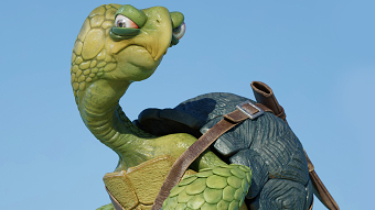 Pirate Turtle