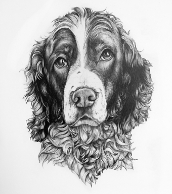 Back to basics pencil sketch