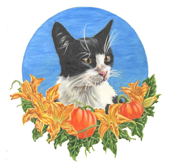 Animal Portraits