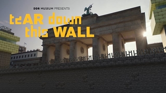 Tear Down This Wall