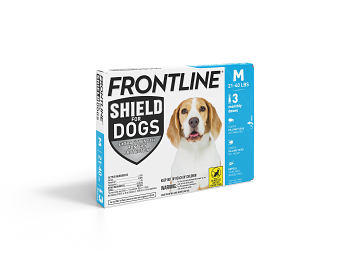 FRONTLINE