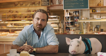 The Sock Pig