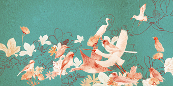 decoration illustration