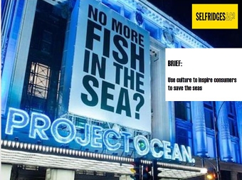 Project Ocean