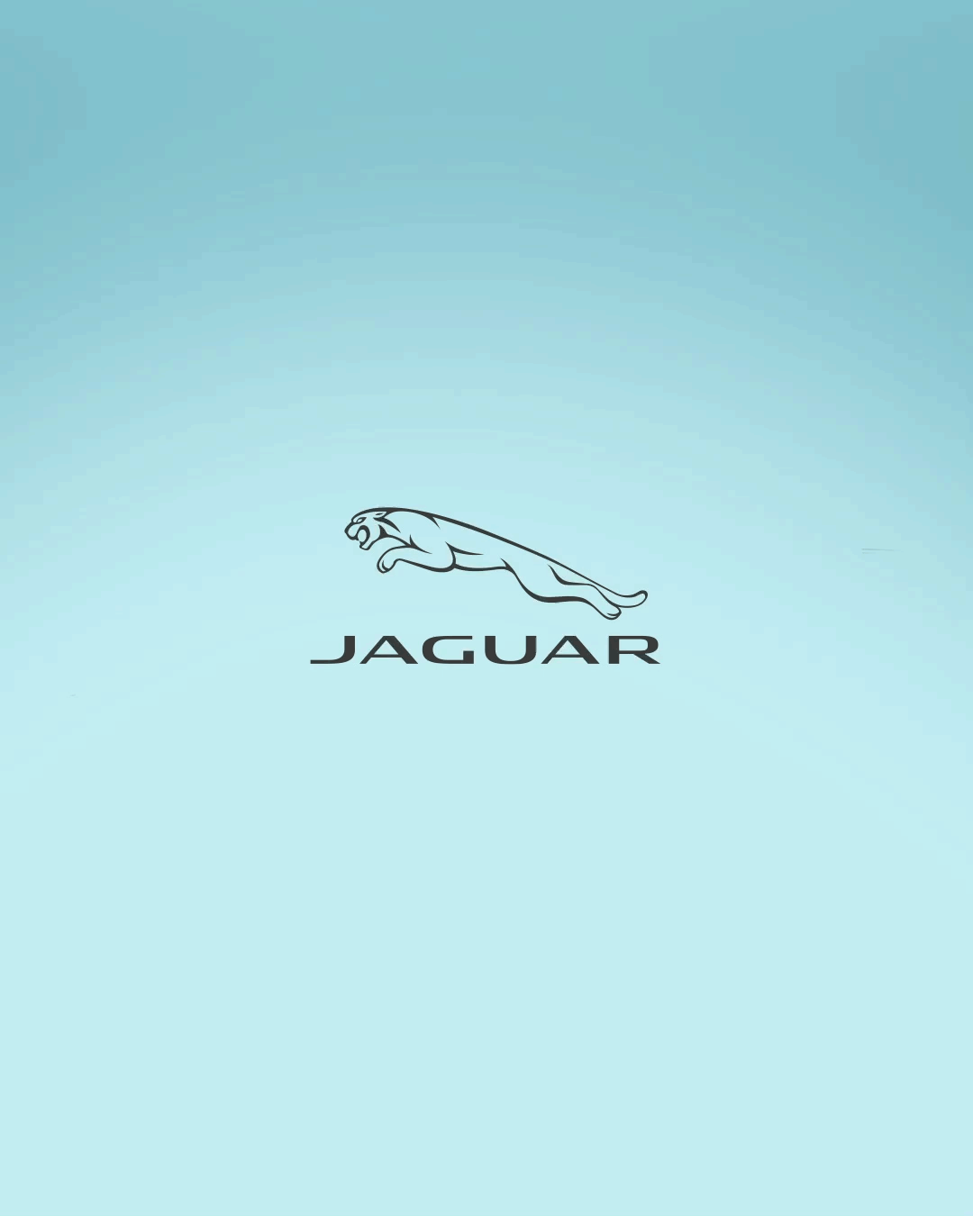 Jaguar Sketch