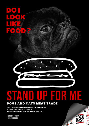 noTodogmeat (Raising awareness)