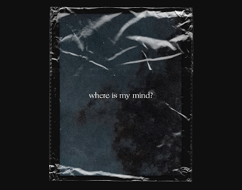 Where is My Mind?