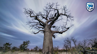 Stanbic Bank - Zimbabwe is Our Home
