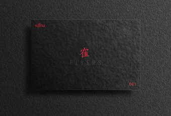 Fujitsu Flyers Branding
