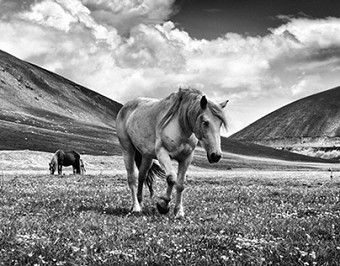 Little Tibet