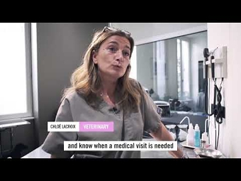 Street-Vet