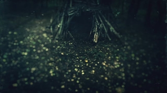 “Wandering With Julia” 02 *WAKE LOW