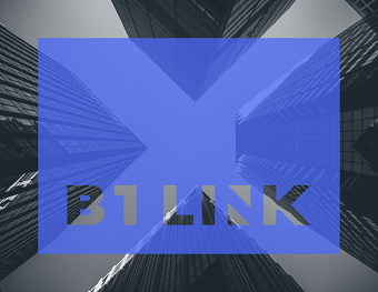 B1 LINK
