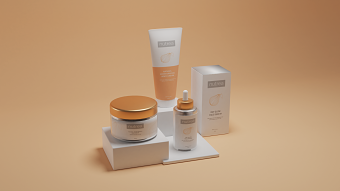  Packaging and 3D Prototype