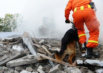 Terrorism Insurance for Businesses